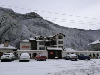 Отель Family Hotel Virgin Рибарица-1